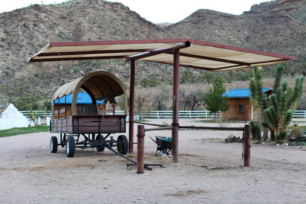 Farm stay Grand Canyon Western Ranch Meadview