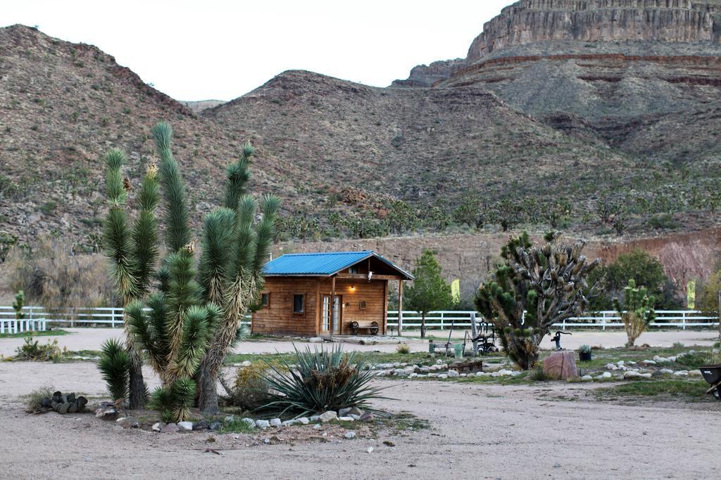 Grand Canyon Western Ranch Farm stay Meadview