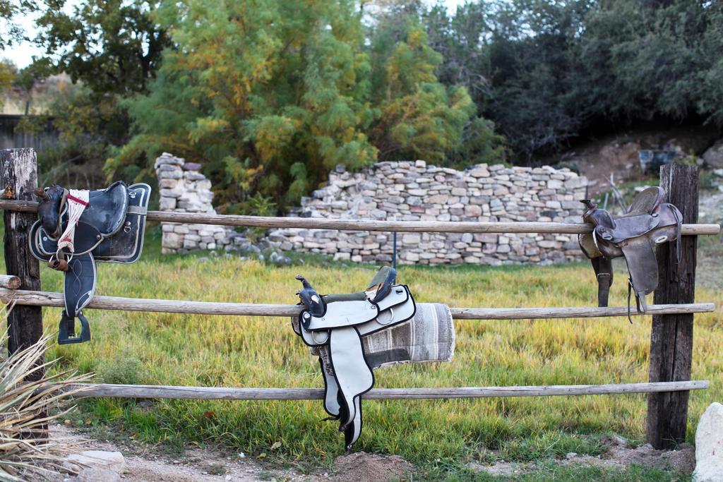 Grand Canyon Western Ranch * Meadview