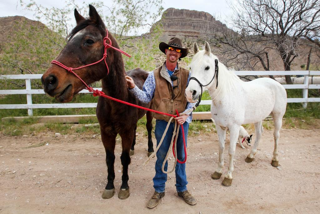 Agroturismo Grand Canyon Western Ranch Meadview