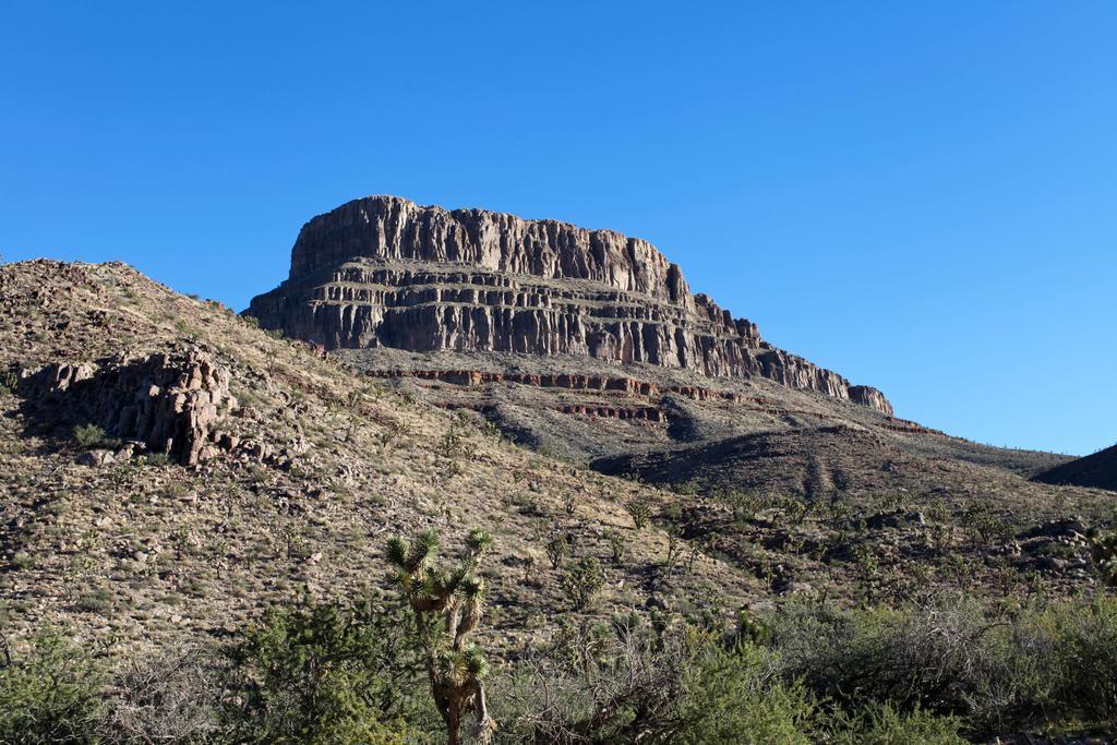 Agroturismo Grand Canyon Western Ranch Meadview