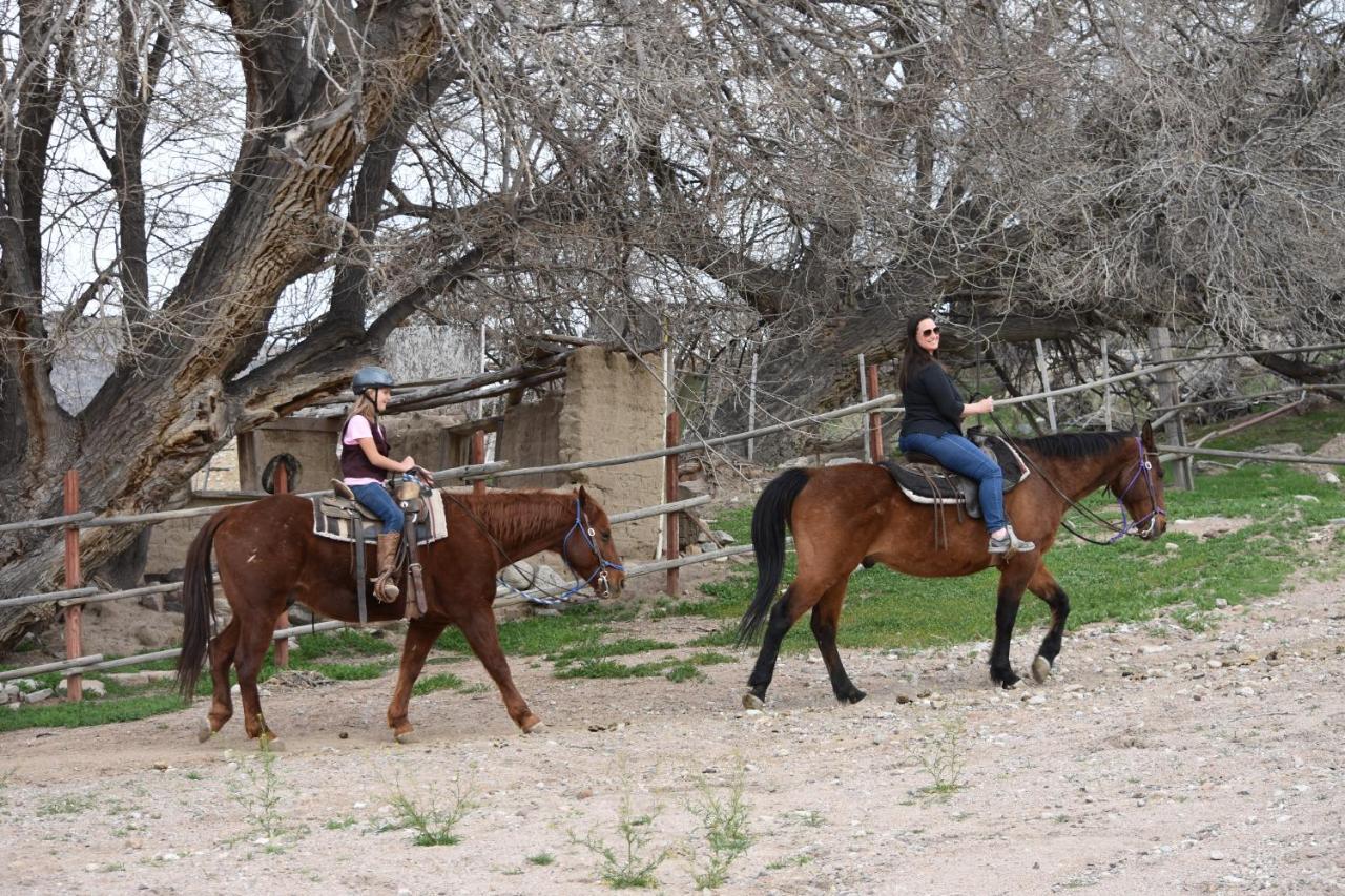 Grand Canyon Western Ranch Agroturismo *